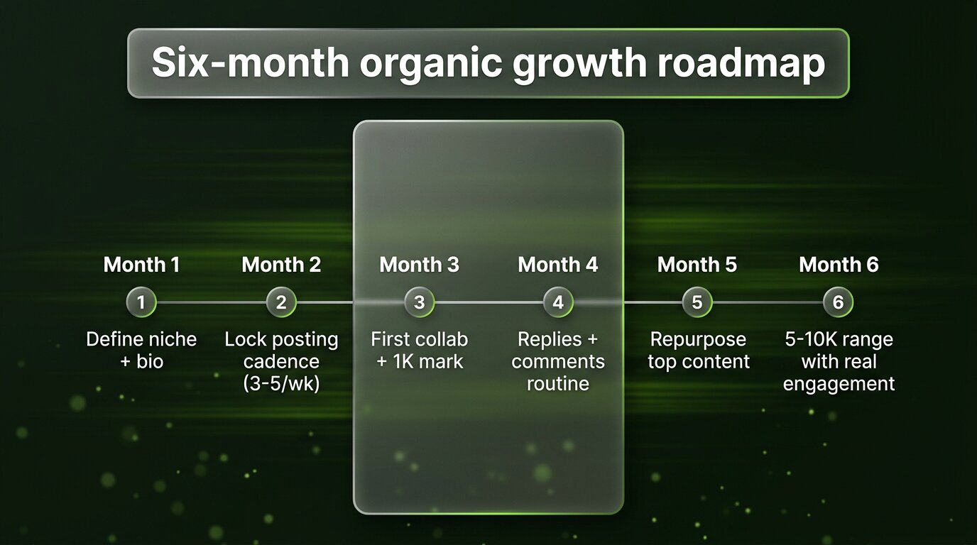 Six-month Instagram organic growth roadmap